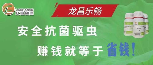工廠化養(yǎng)殖對蝦弧菌病的根本防控策略