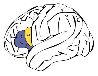腦科疾病的認知與專業防治——中華好醫生_中華網特別觀察